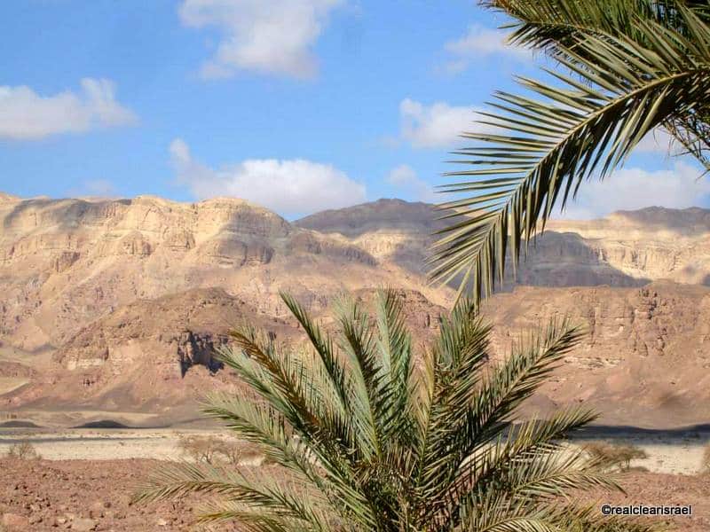 Palms, Mountains & Clouds, Timna Valley, Israel 