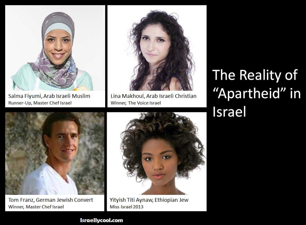 http://www.israellycool.com/wordpress/wp-content/uploads/apartheid-poster.jpg