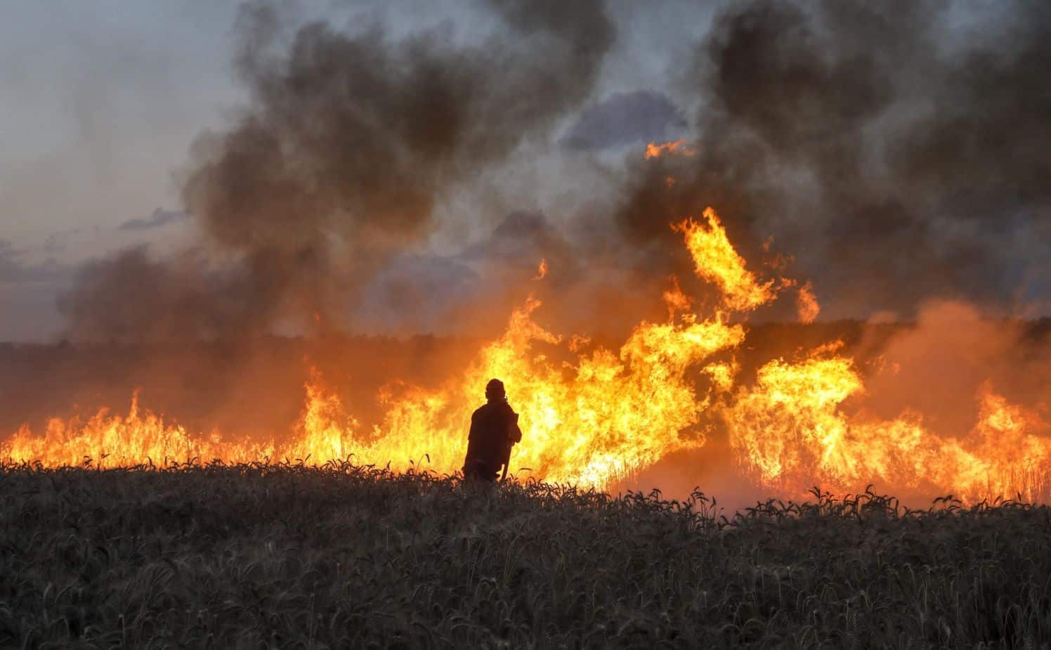 Fields Of Fire Israellycool