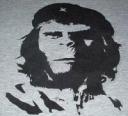 Guevara Descendants Meet Gorilla Descendant