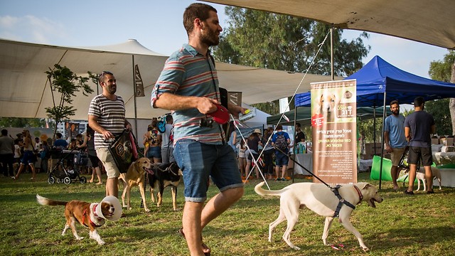 Dogwashing (except for that poor "imprisoned" dog on the left, clearly from Gaza