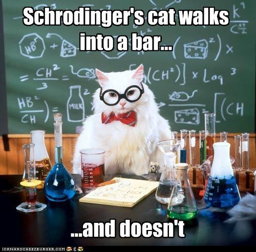 funny-pictures-schrodingers-cat-chemistry-cat.jpg