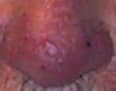 Guess The Mystery Object
