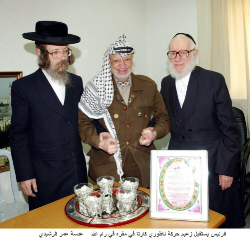 ArafatNatureiCartaWafa040211.jpg