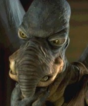 watto.jpg