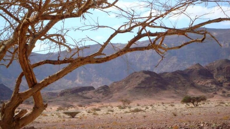 Striking Landscape, Timna Valley, Israel 