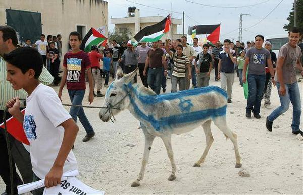 donkey israeli flag