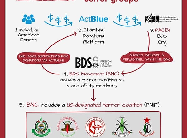 bds financial connections