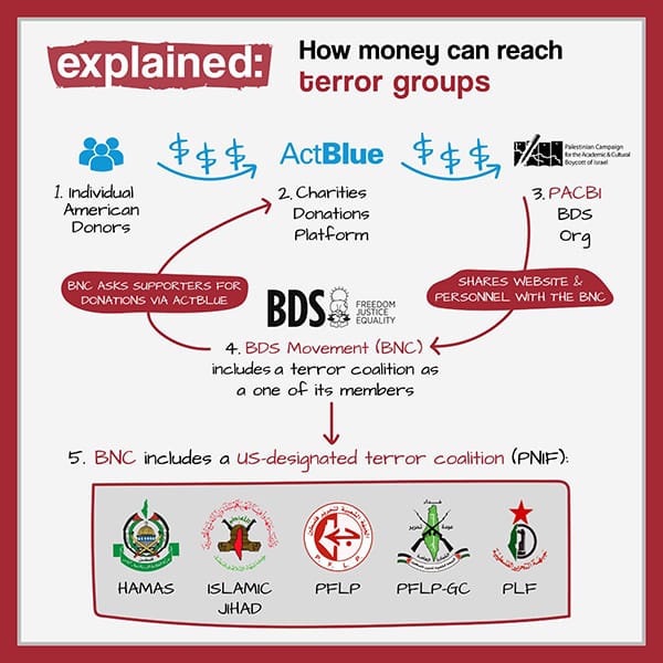 bds financial connections