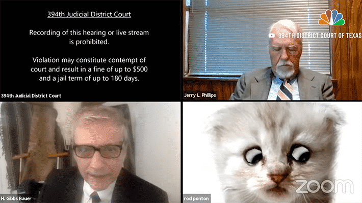 zoom cat filter video