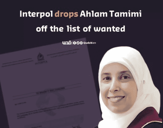 qnn tamimi