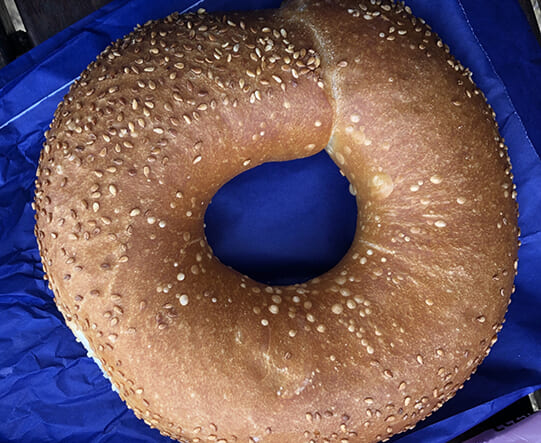 bagel
