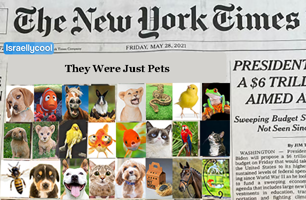 new york times pets