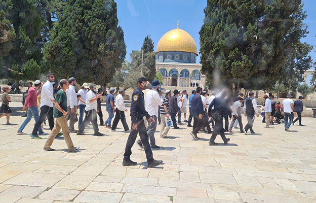 temple mount