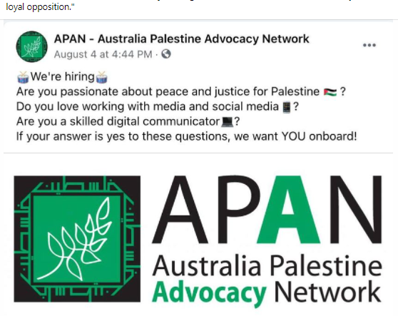 dvir-abramovich-post