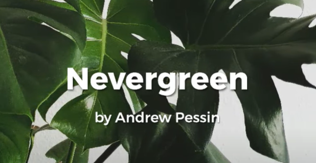 nevergreen