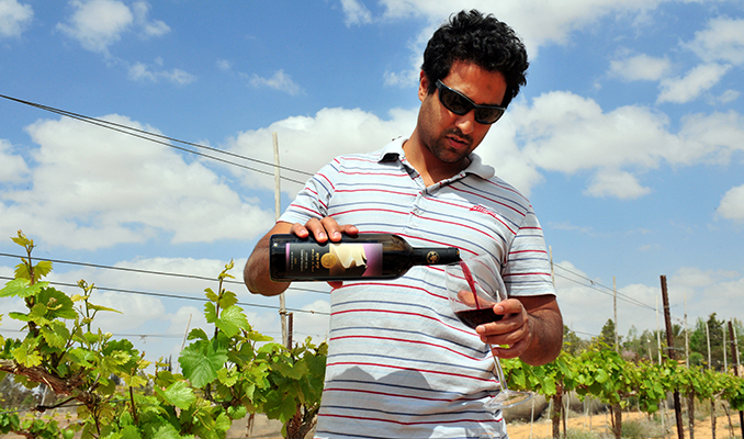 israeli wine