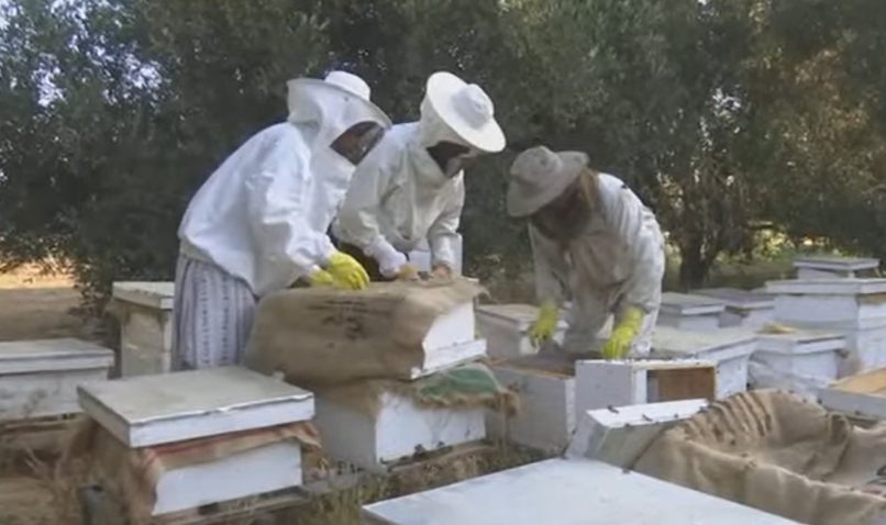 beekeepers