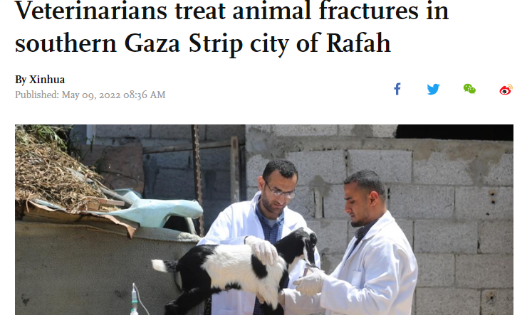 vets gaza cropped