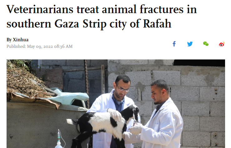 vets gaza cropped