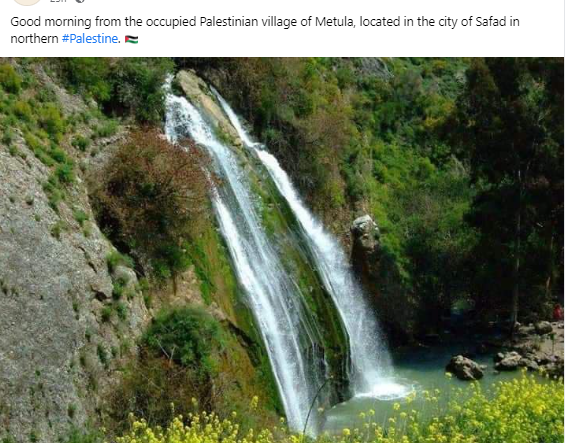 olive-waterfall