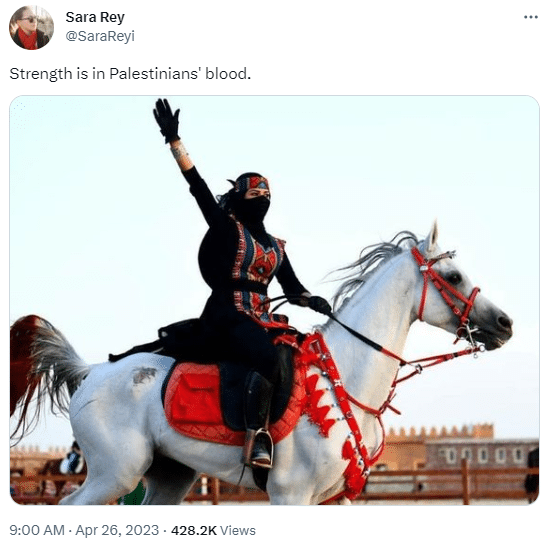 sara rey lie