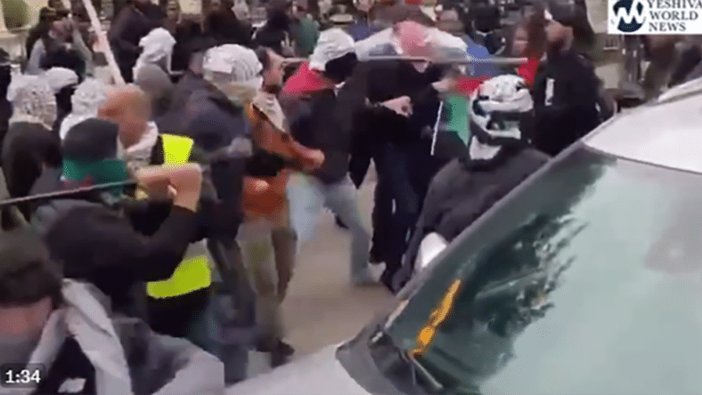 protesters fighting