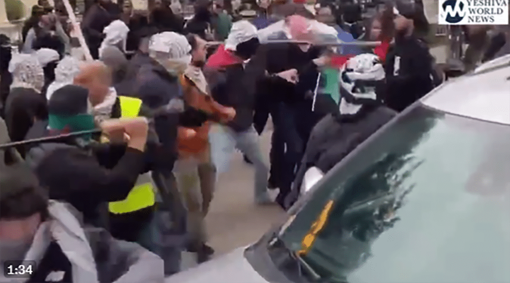 protesters fighting
