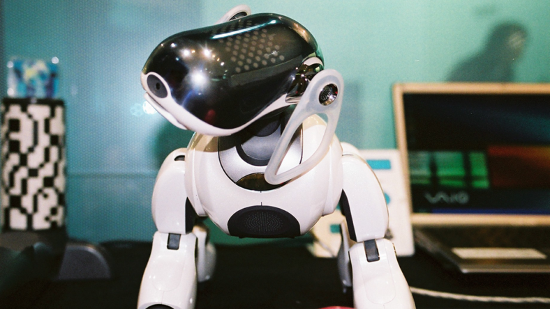robot dog