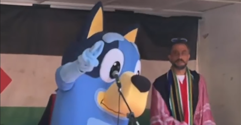 bluey rally