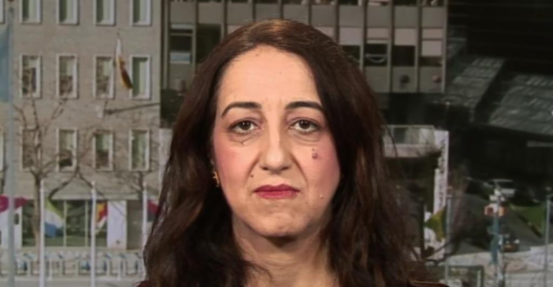 farnaz fassihi