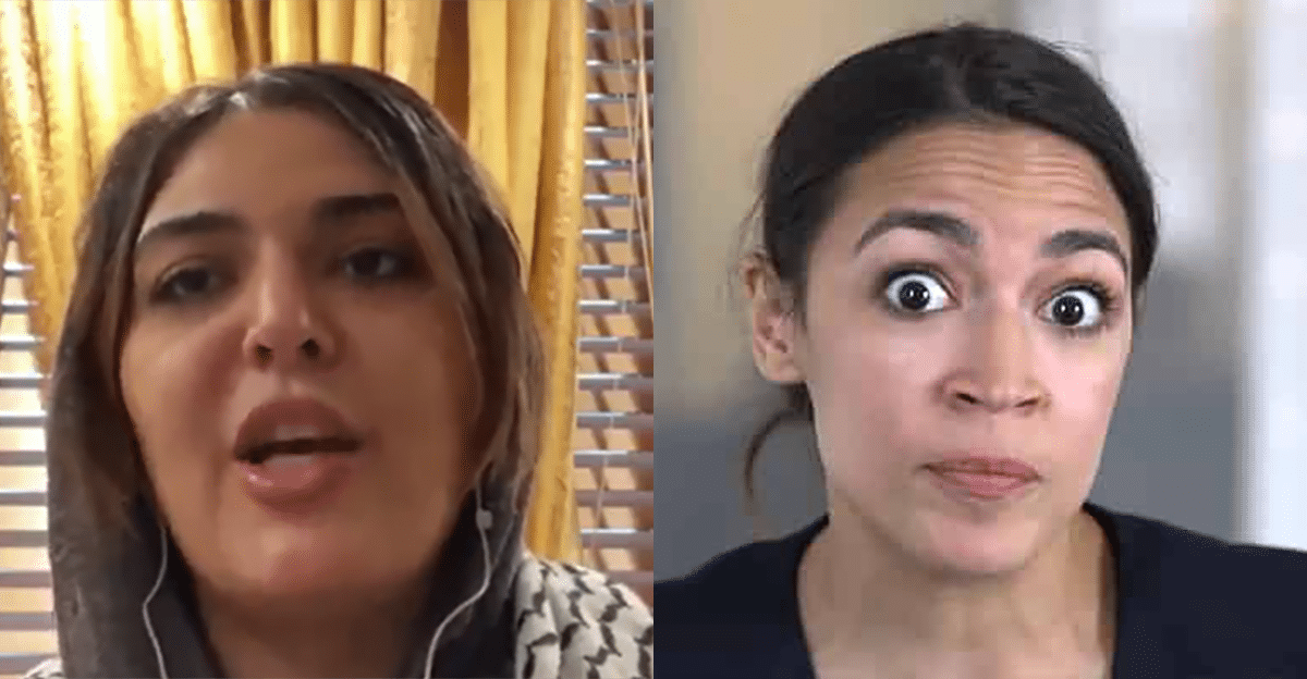 nerdeen kiswani vs aoc
