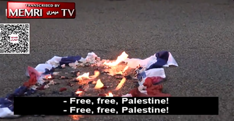 burning US flag