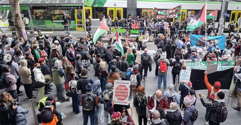 anti israel protesters