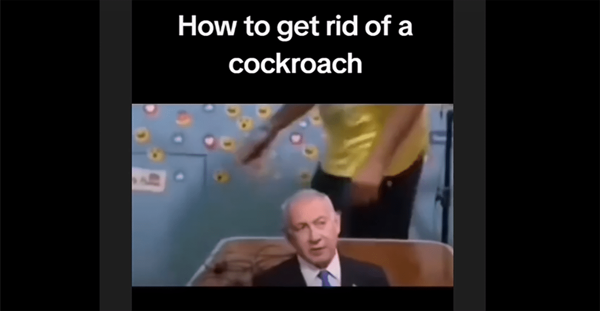 cockroach video
