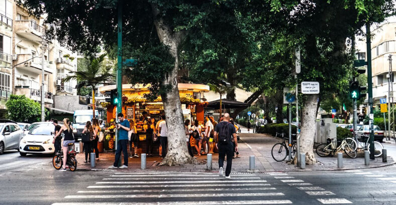 djzengoff