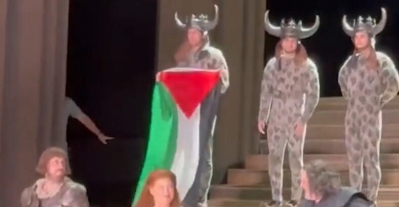 pali flag daniel perry