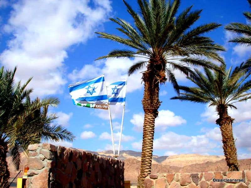 Flags & Palms Timna Valley Park