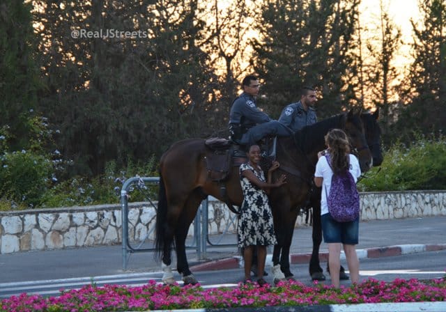 two horses with police riders,