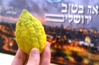 etrog