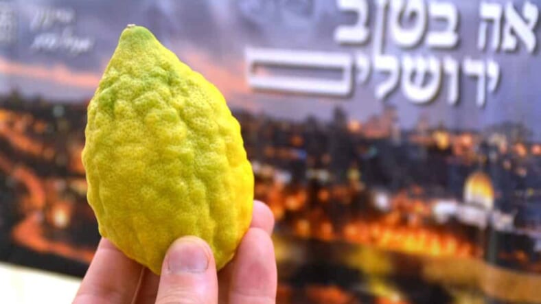 etrog