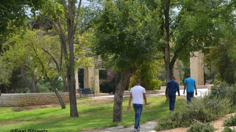 Palestinian men photo, image Israel palestinians, picture of Palestinians Isarel