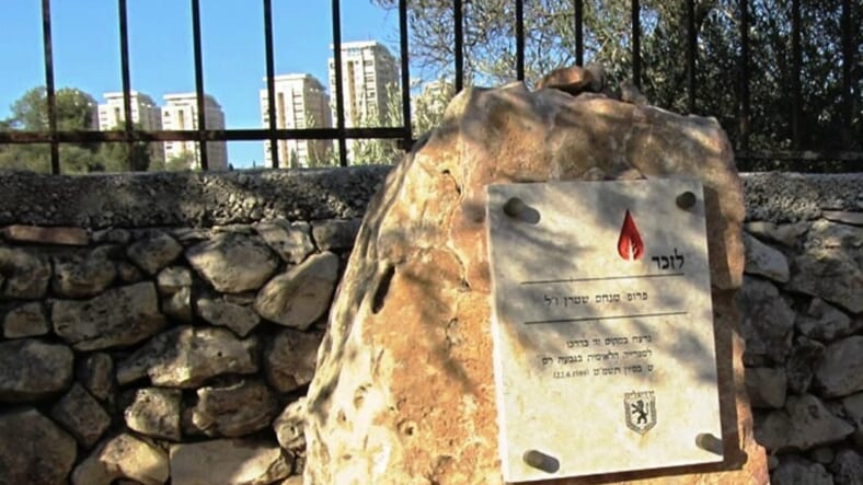 image terror victim. photo victim of terror, picture memorial terror