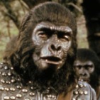 ape