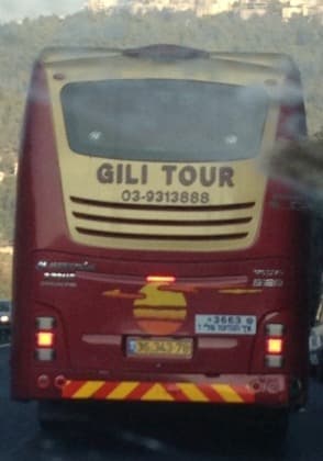 bus