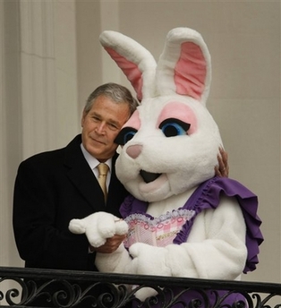 bush-bunny.jpg