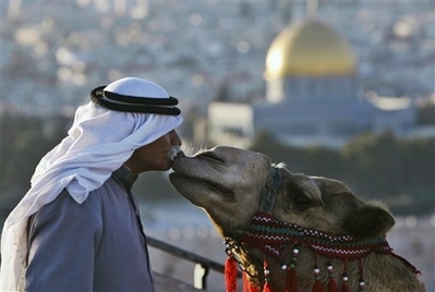 camel-love.jpg