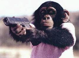 chimp weapon