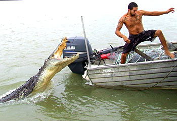 croc-attack.jpg