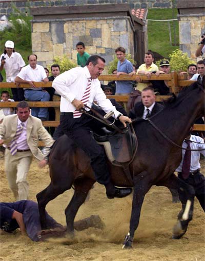 erdogan horse